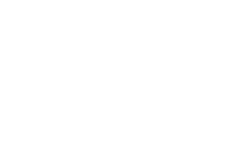 Technische Daten 2496 S